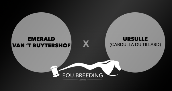 Embryo (Emerald Van 't Ruytershof x Ursulle)