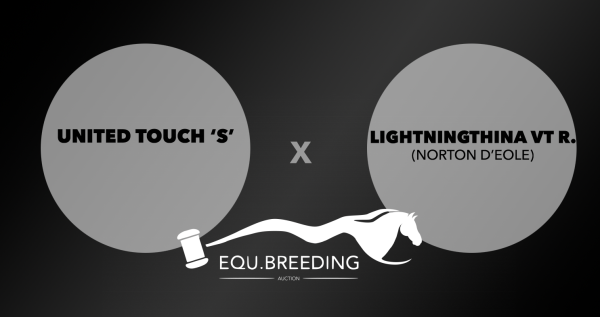 Embryo (United Touch S x Lightningthina van 't ruytershof)